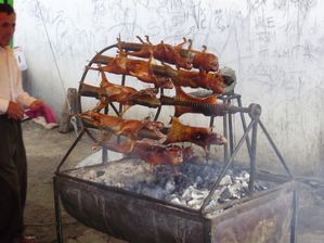 Comidas raras P3220431